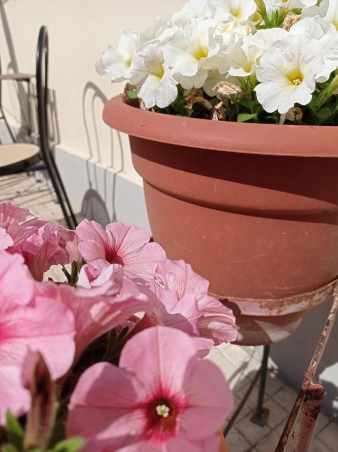 B&B Toscana Πίζα Εξωτερικό φωτογραφία