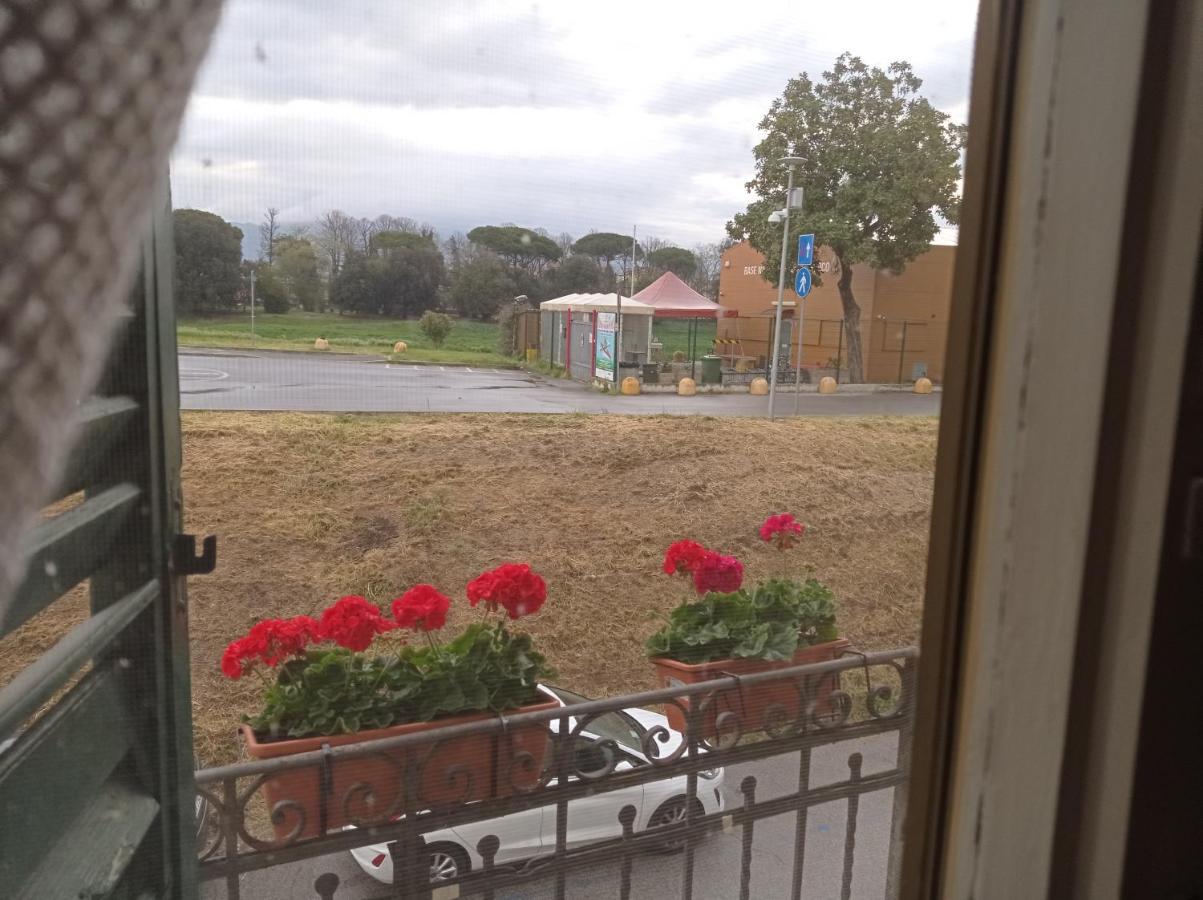 B&B Toscana Πίζα Εξωτερικό φωτογραφία